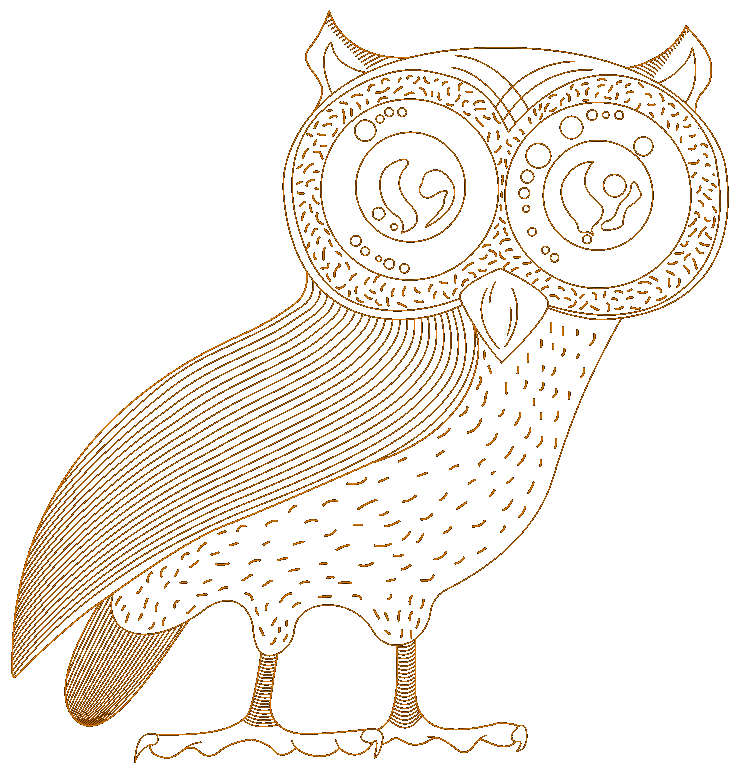 owl